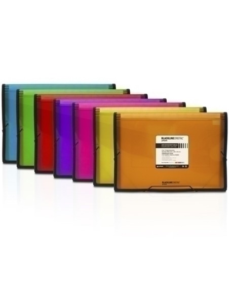 CLASIF.ACORD.GRAF. BL. Fº 13 DP. VERDE - Pack de 2 unidades